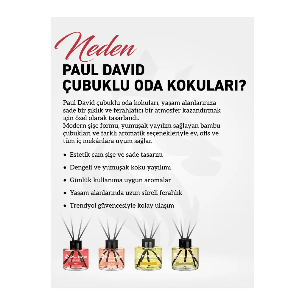 Paul David Ananas Yüksek Koku Yayılımlı Dekoratif Bambu Çubuklu Oda Kokusu 145 ml Paul David Ananas Yüksek Koku Yayılımlı Dekoratif Bambu Çubuklu Oda Kokusu 145 ml
