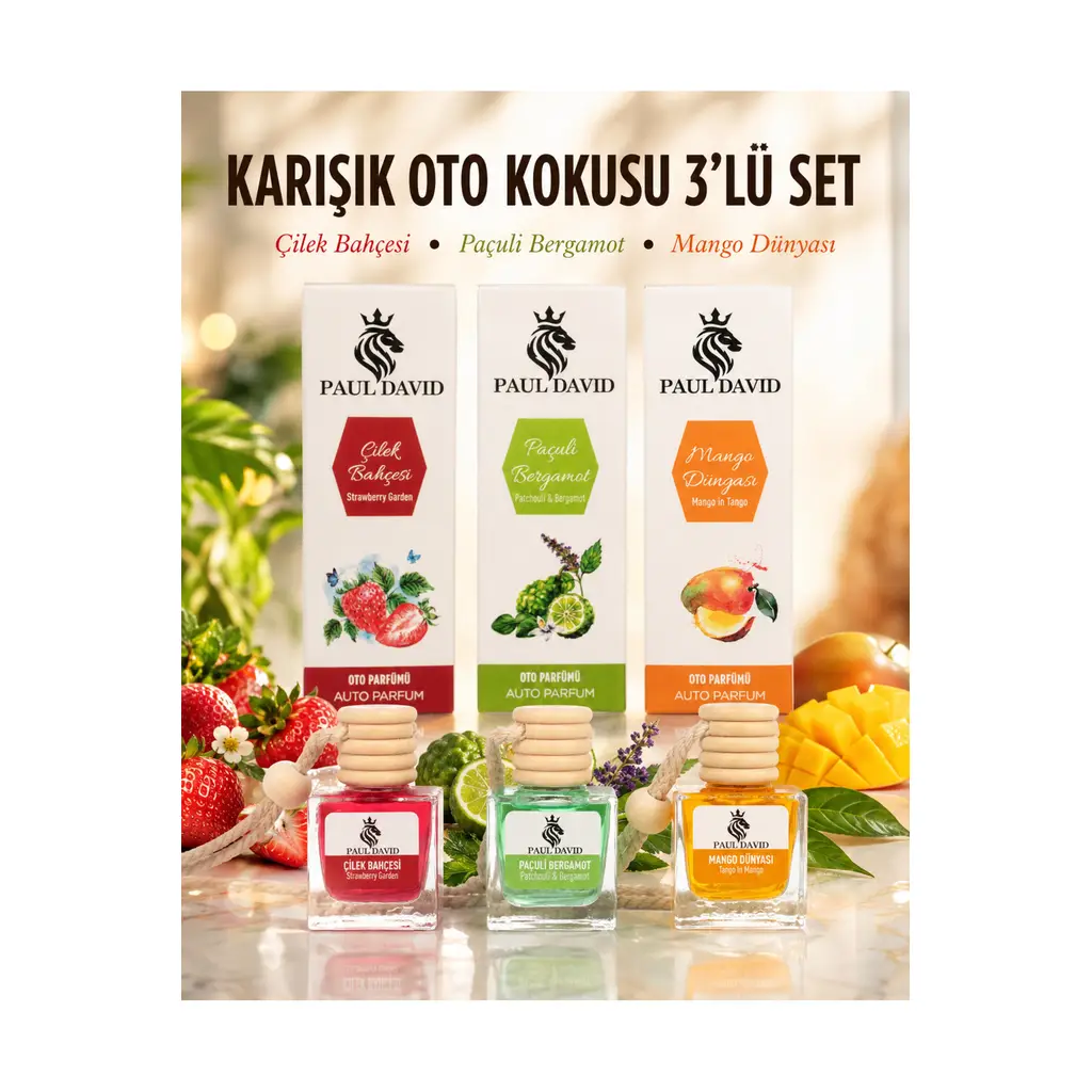 Dekoratif Araç Oto Kokusu 3 lü Set ( Mango-Çilek-Paçuli)