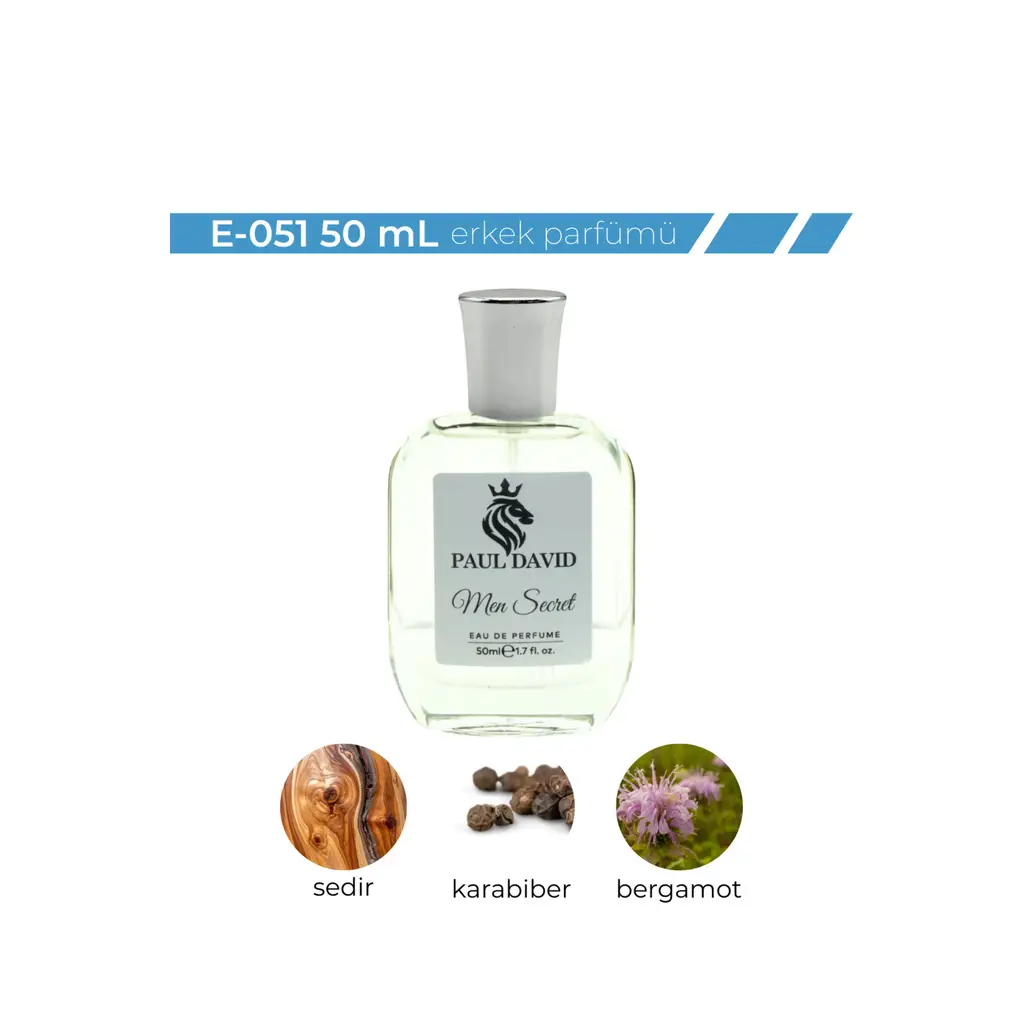 E-051 Aromatik Fougere Erkek Parfüm Edp Uzun Süre Kalıcı 50 ml