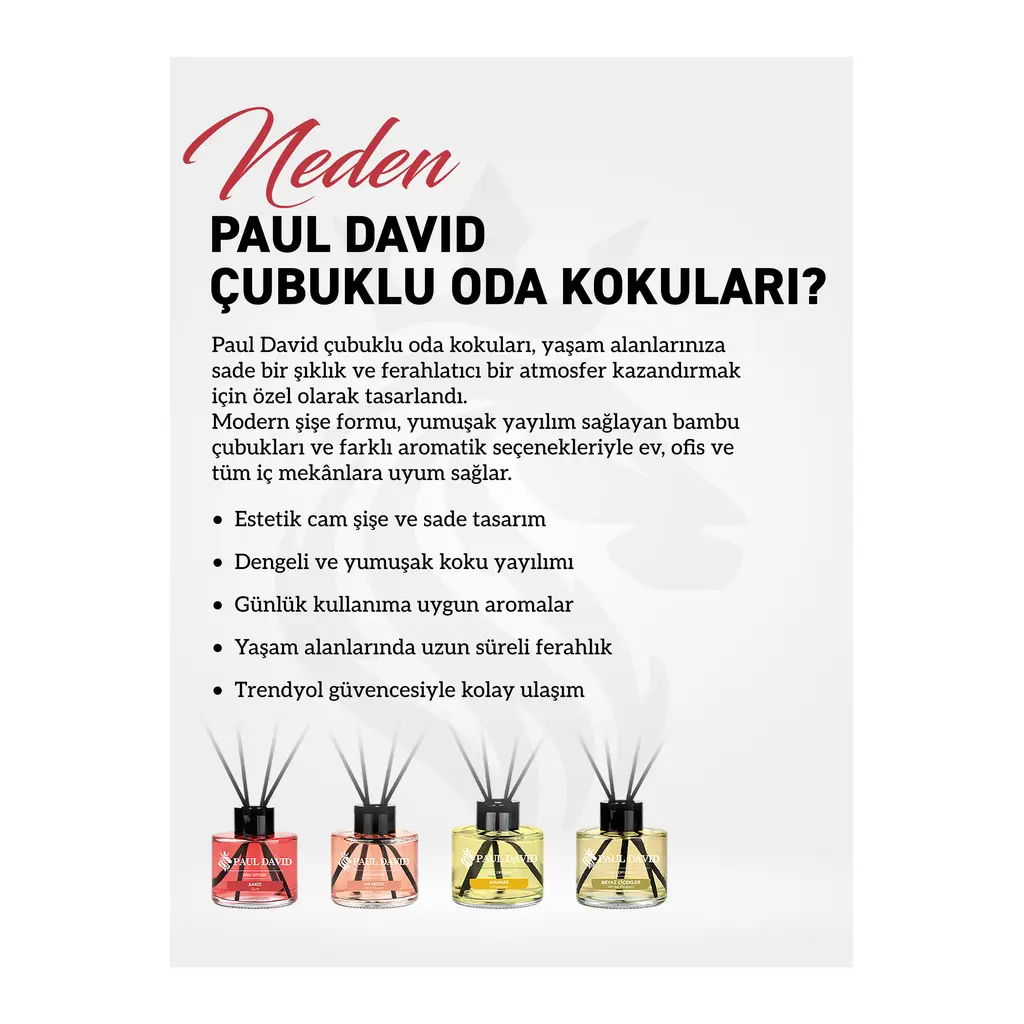 Paul David Melek Yüksek Koku Yayılımlı Dekoratif Bambu Çubuklu Oda Kokusu 145 ml Paul David Melek Yüksek Koku Yayılımlı Dekoratif Bambu Çubuklu Oda Kokusu 145 ml